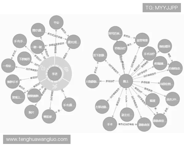 解决用户常见疑问，全面解读pa视讯和db视讯的操作流程与使用技巧